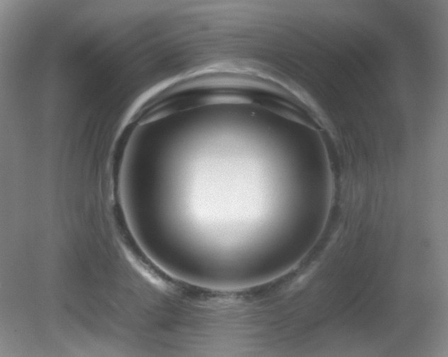 X0000082940838200702011303