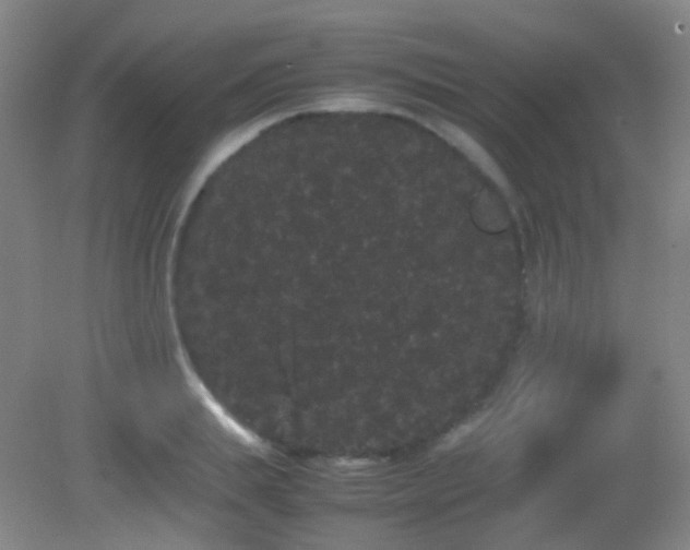 X0000082940839200702011303