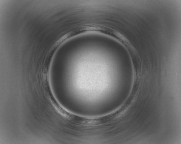 X0000082940841200702011303