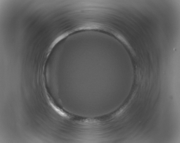 X0000082940842200702011303