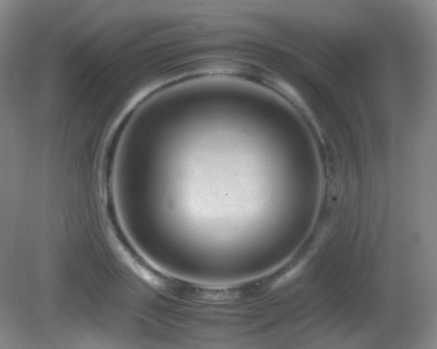 X0000082940843200702011304