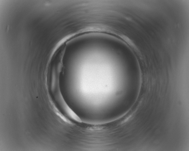X0000082940846200702011304