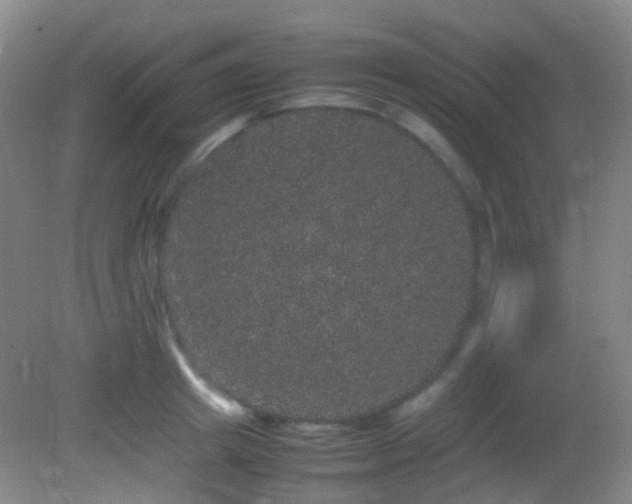 X0000082940849200702011304