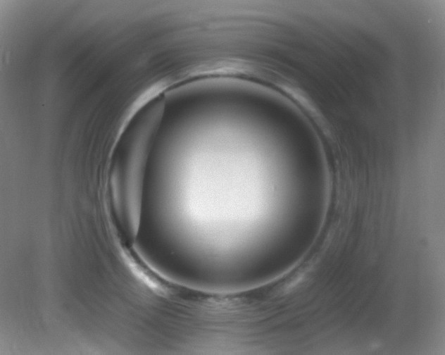 X0000082940850200702011304