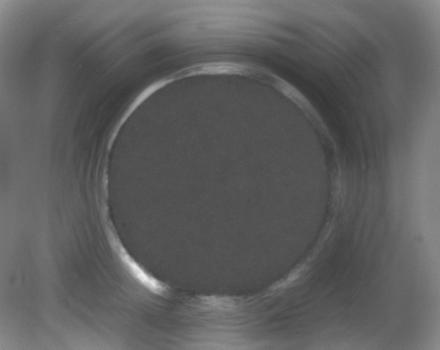 X0000082940852200702011304