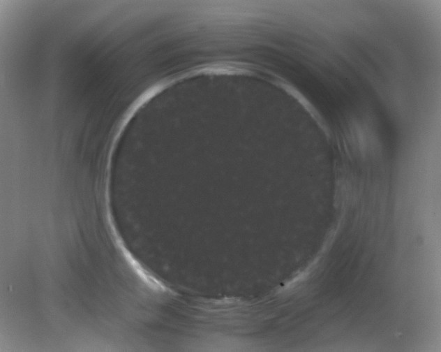 X0000082940853200702011304