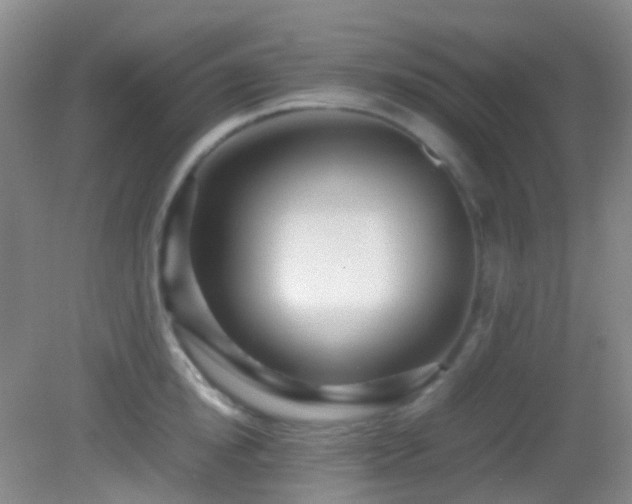 X0000082940854200702011304