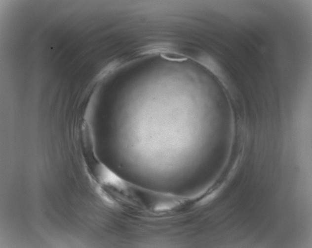 X0000082940857200702011304