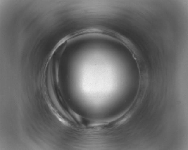 X0000082940858200702011304