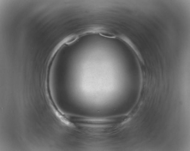 X0000082940861200702011304