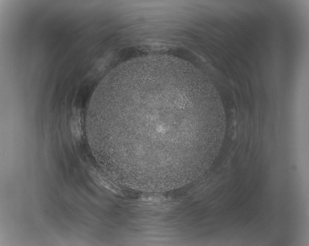 X0000082940866200702011303