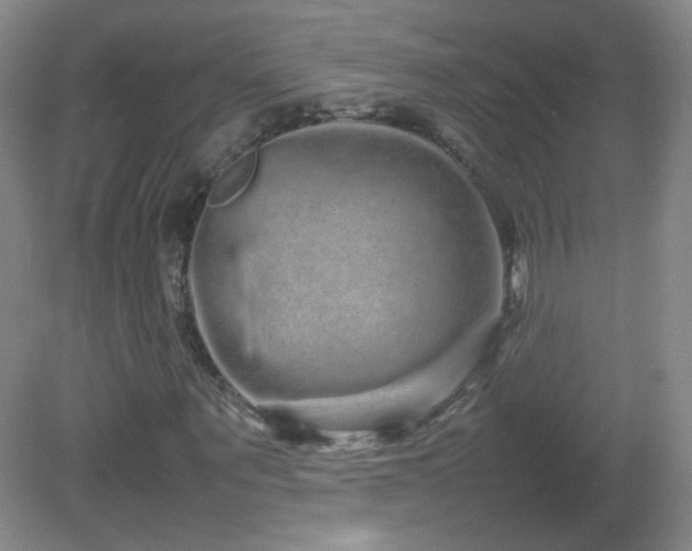 X0000082940867200702011303