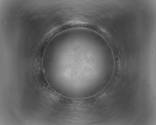 X0000082940870200702011303