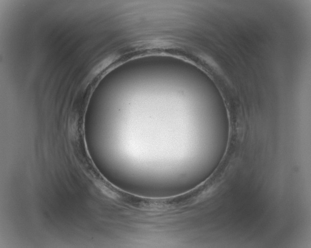 X0000082940873200702011303