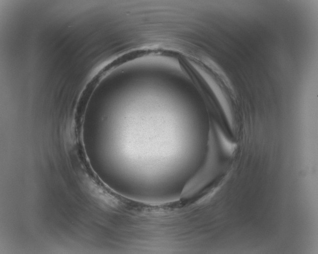 X0000082940876200702011303