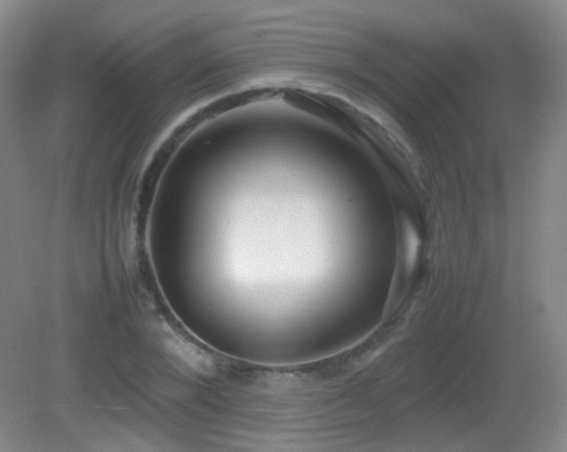 X0000082940880200702011303