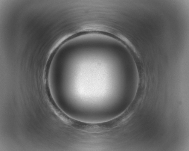 X0000082940885200702011303