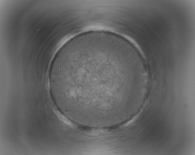 X0000082940887200702011303