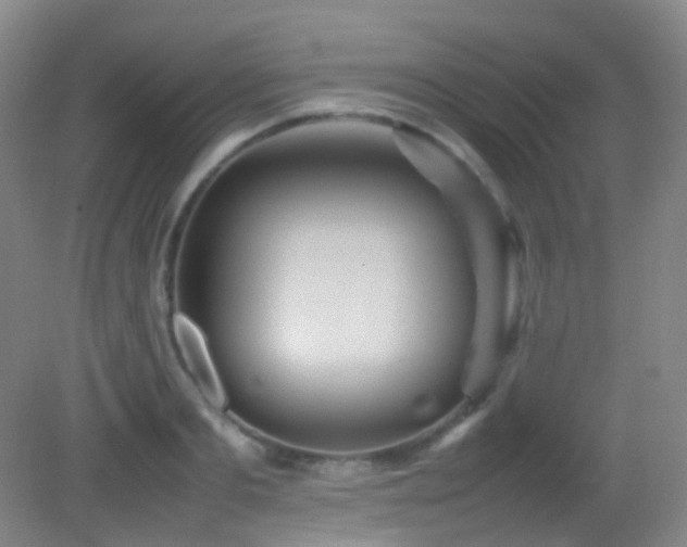 X0000082940893200702011303