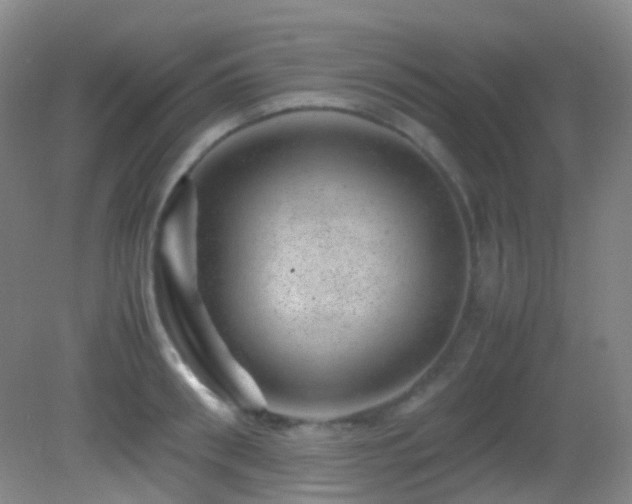 X0000082940898200702011302