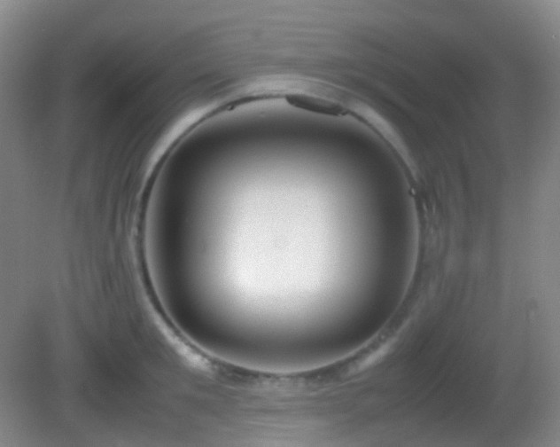 X0000082940901200702011302