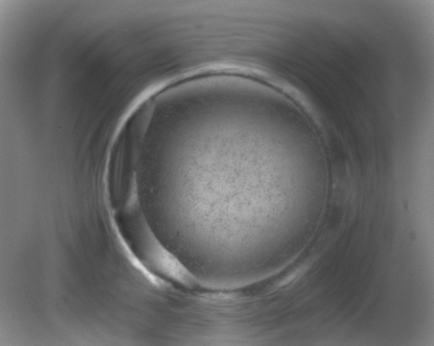 X0000082940902200702011302