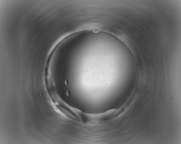 X0000082940904200702011302