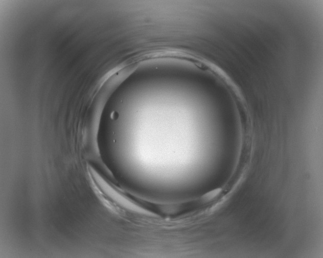 X0000082940905200702011302