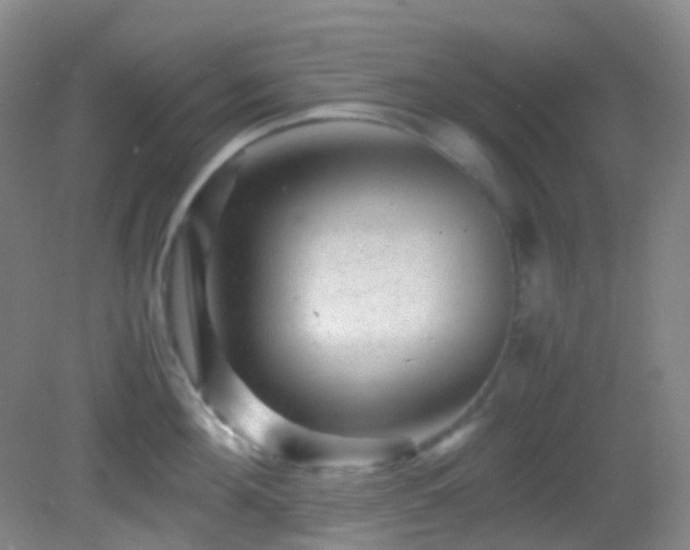 X0000082940908200702011302
