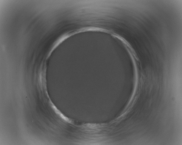 X0000082940910200702011302