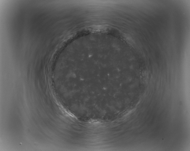 X0000082940913200702011301