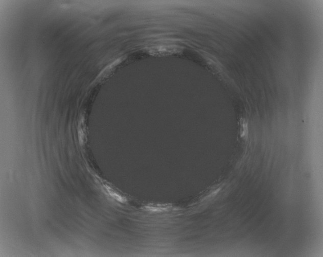 X0000082940915200702011301