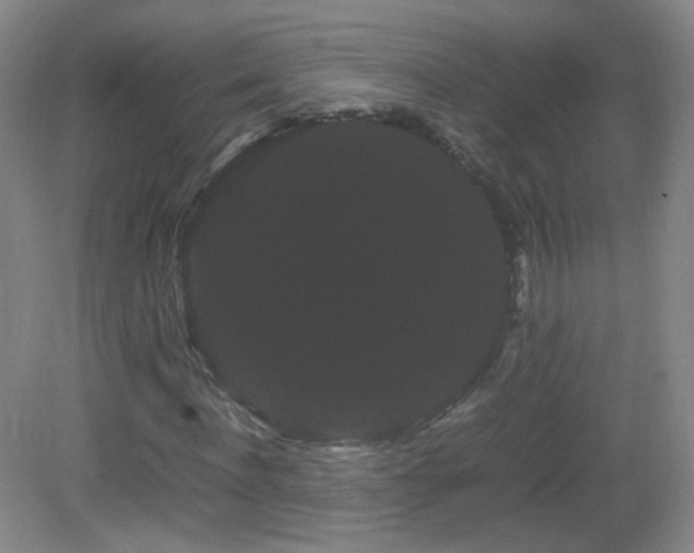 X0000082940916200702011301