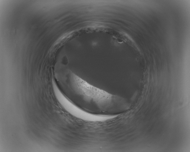 X0000082940919200702011302