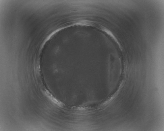 X0000082940923200702011302