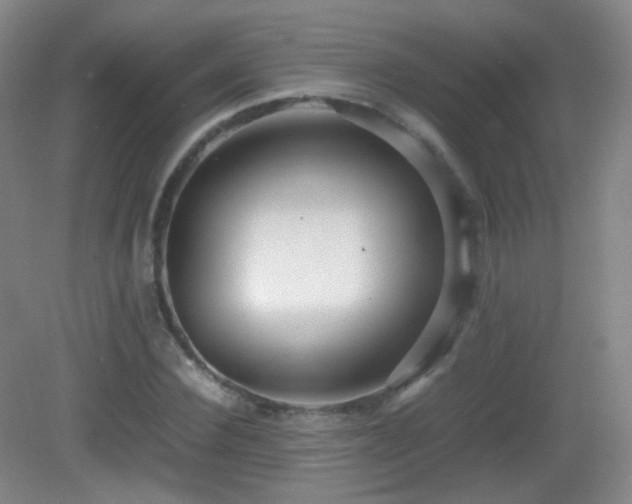 X0000082940924200702011302