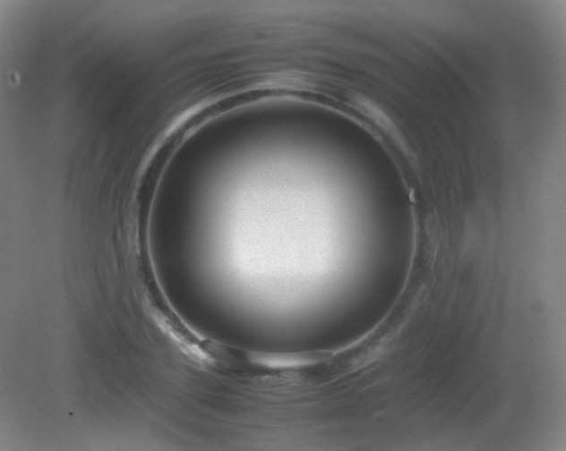 X0000082940931200702011302
