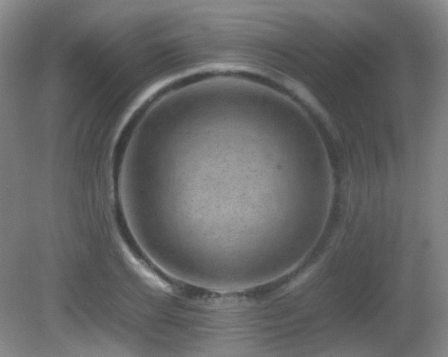 X0000082940934200702011302
