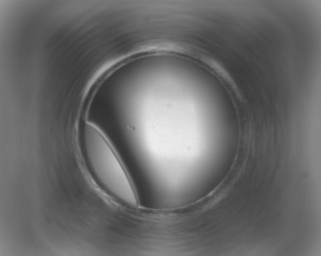 X0000082940936200702011302