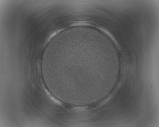X0000082940937200702011302