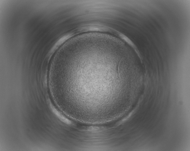 X0000082940938200702011302