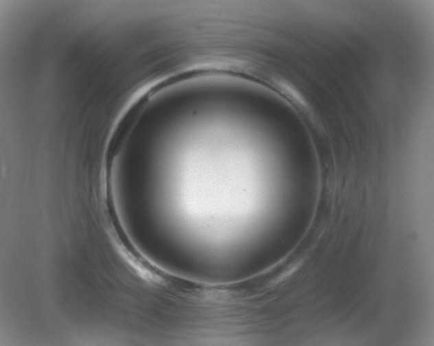 X0000082940940200702011302