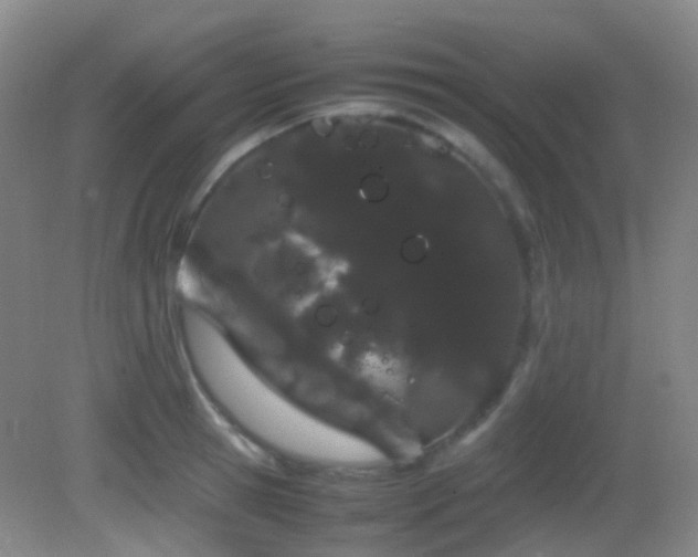 X0000082940945200702011302
