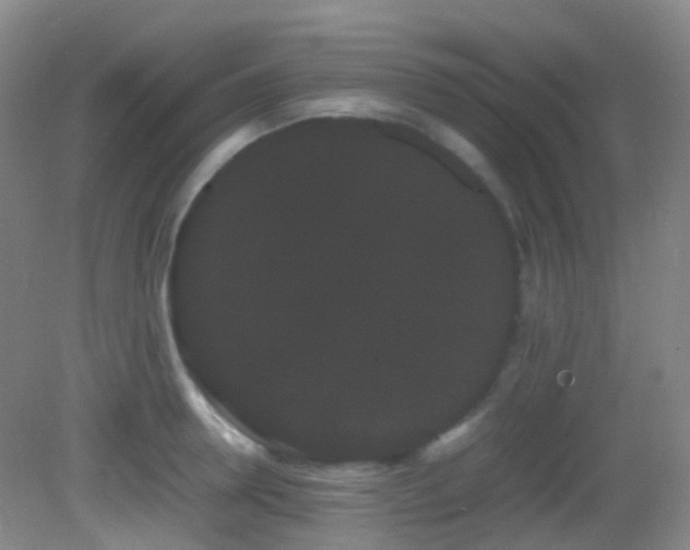 X0000082940946200702011302