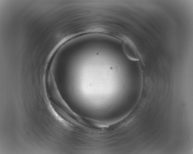 X0000082940947200702011302