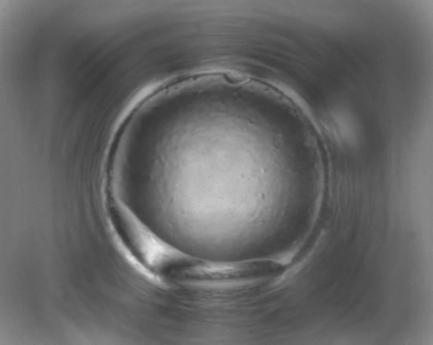 X0000082940949200702011302
