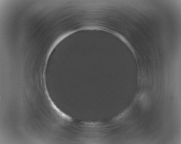 X0000082940951200702011302