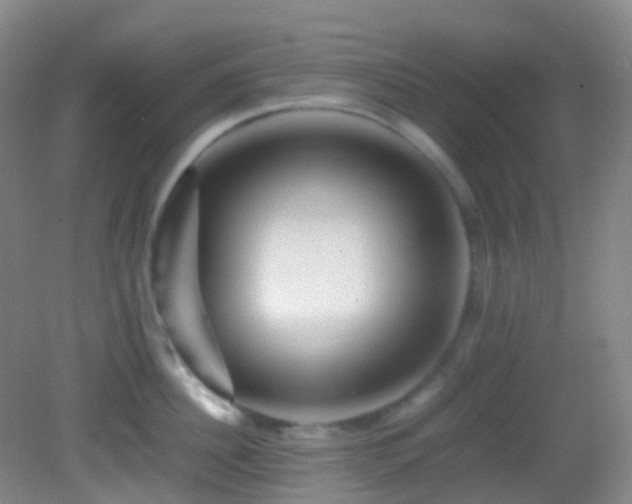 X0000082940956200702011302