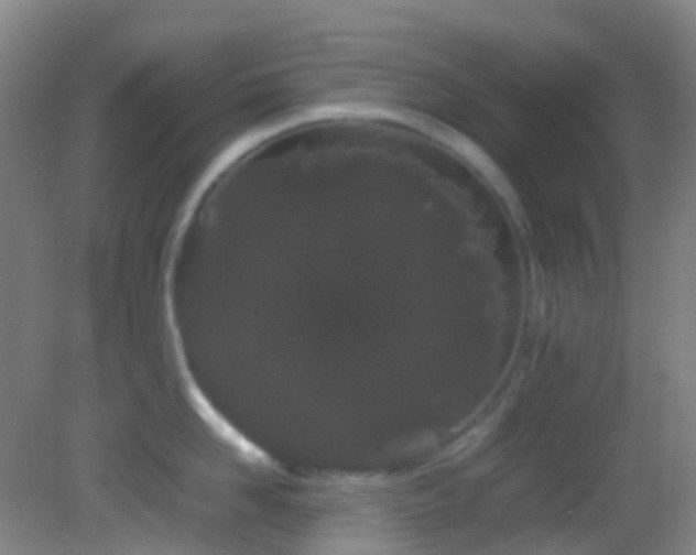 X0000082940958200702011302