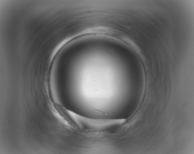 X0000082940960200702011302